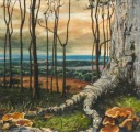 clerkhill woods