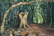 in burnham beeches