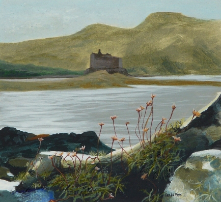 Mingary Castle, wind-blown thrift