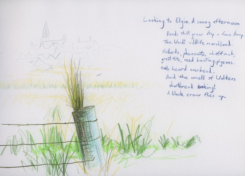 Wildlife marshland, Elgin rooftops beyond. Reed bunting, mallards. The smell of shortbread baking!