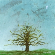 a winter tree