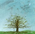 a winter tree