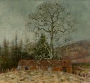 the advance of nature