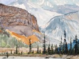 sentinel trees on the sunwapta river, looking to mount kitchener, canadian rockies